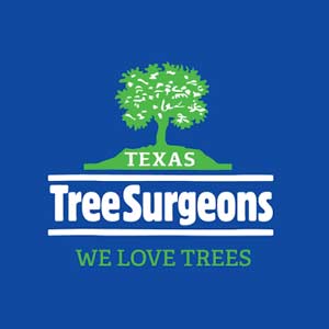 Tree Surgeon Tree Surgeon